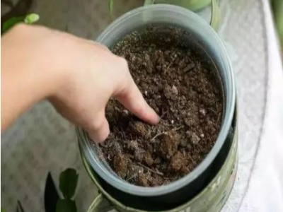 油煙機(jī)流出的廢油，一滴也別倒掉！解決了許多家庭大煩惱！